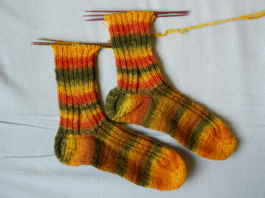 Kürbissocken