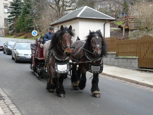 Kutsche mit Kaltblütern