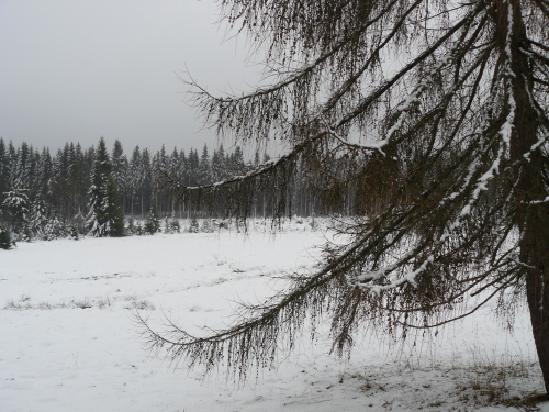 Schnee im Erzgebirge