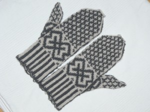 Handschuhe01022010